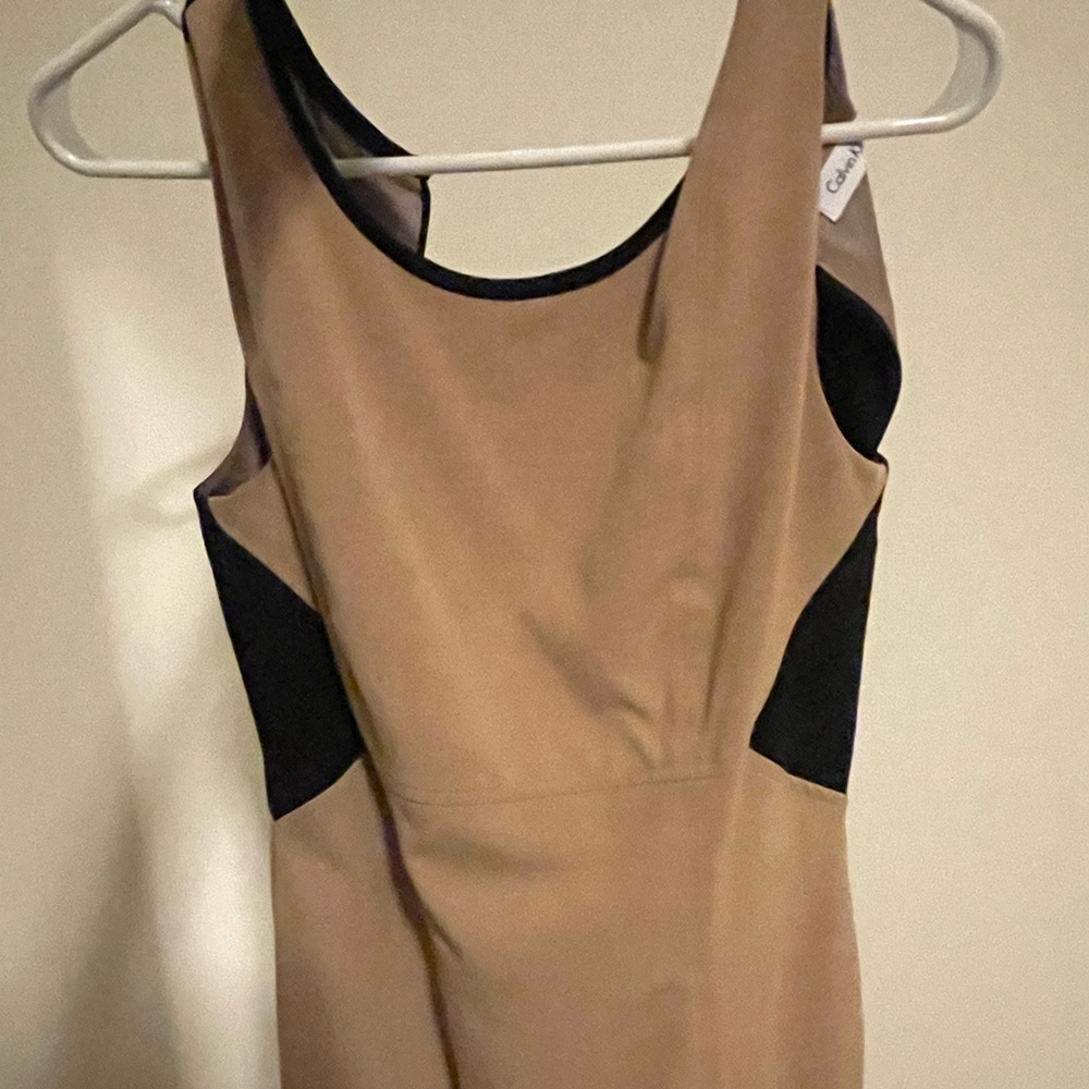 Black and Tan Dress